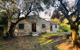 La Casina Di Susy